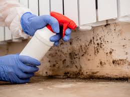 Best Black Mold Removal  in Floydada, TX